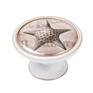 bouton meuble vintage bronze patinee etoile de mer 550bb57