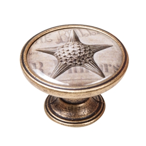 bouton meuble vintage vieux laiton etoile de mer 550br57