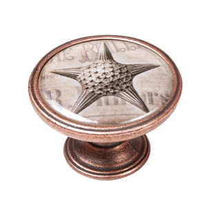 bouton meuble vintage vieux cuivre etoile de mer 550cb57